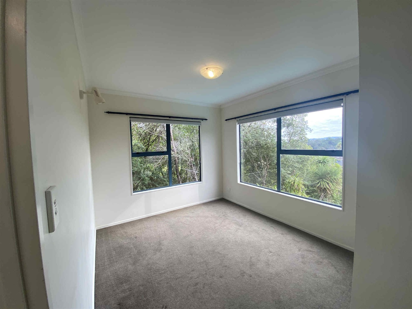 Property Pictures