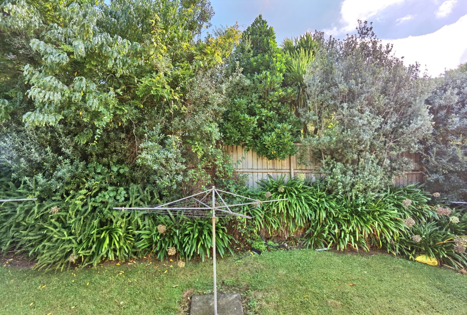 Property Pictures