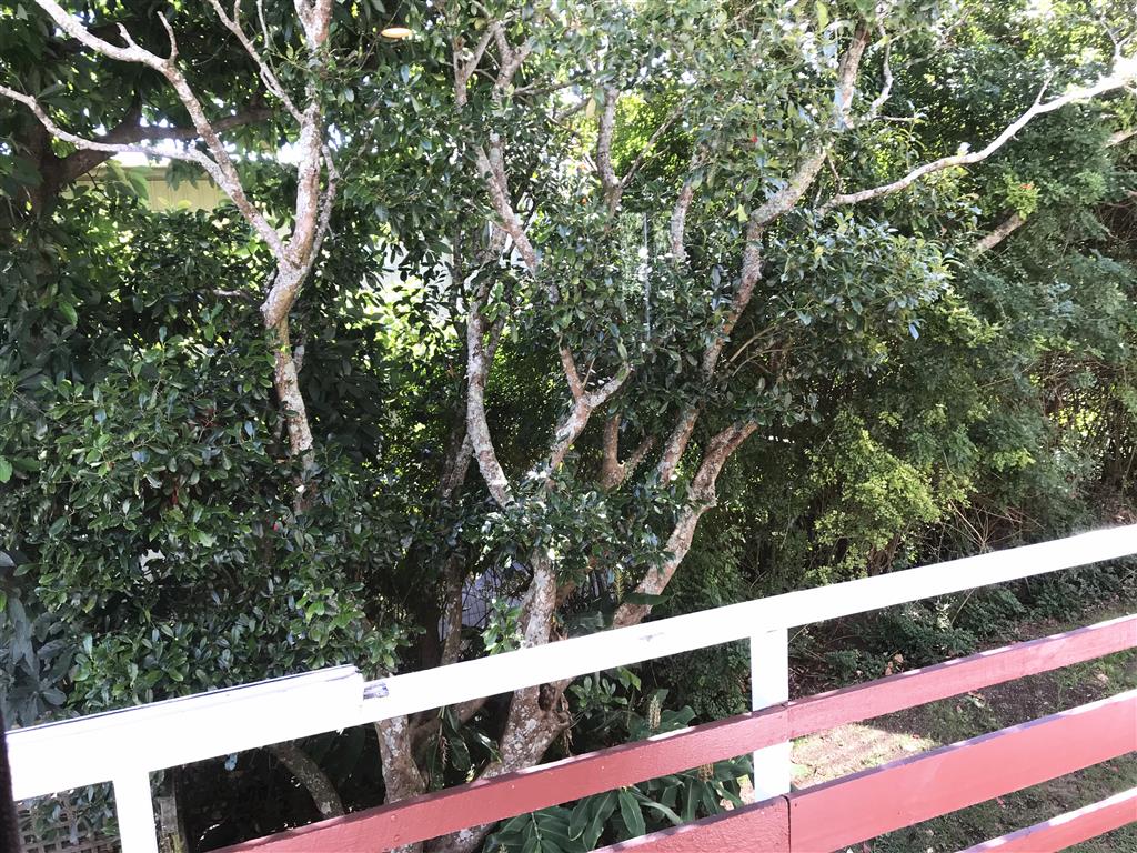 Property Pictures