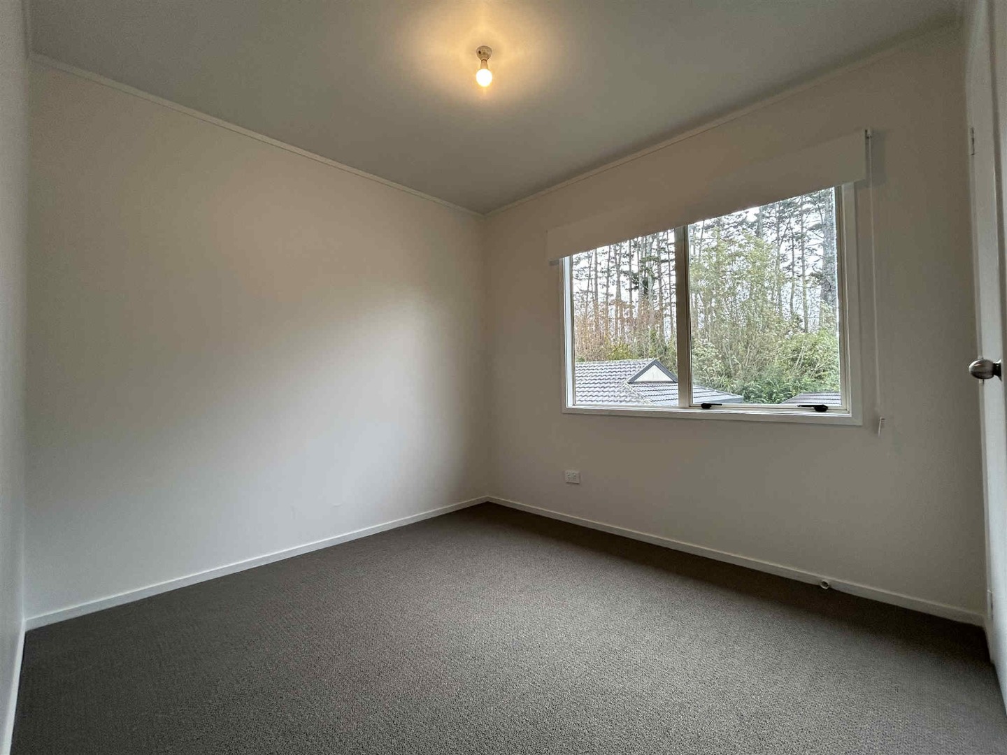 Property Pictures