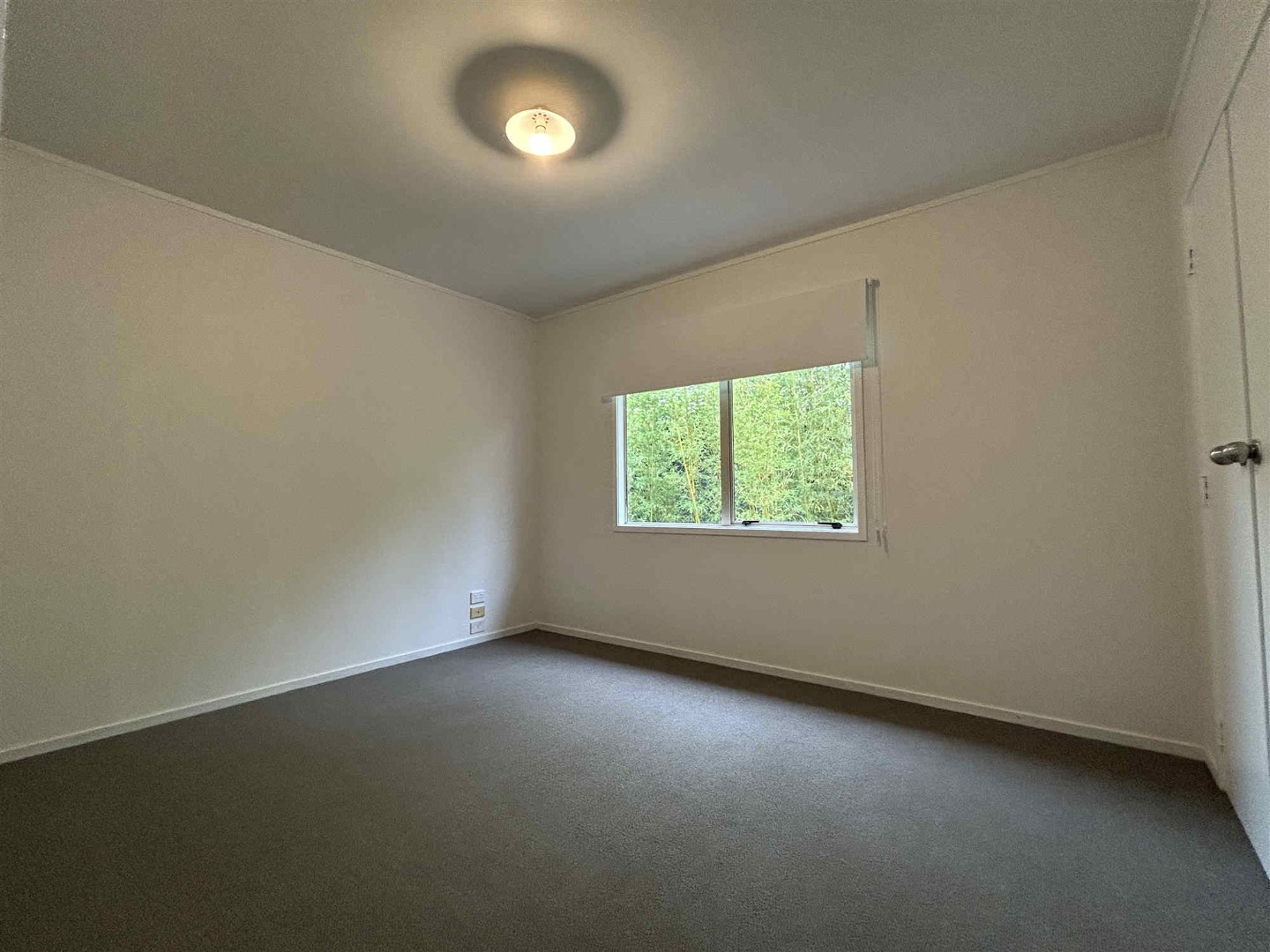 Property Pictures