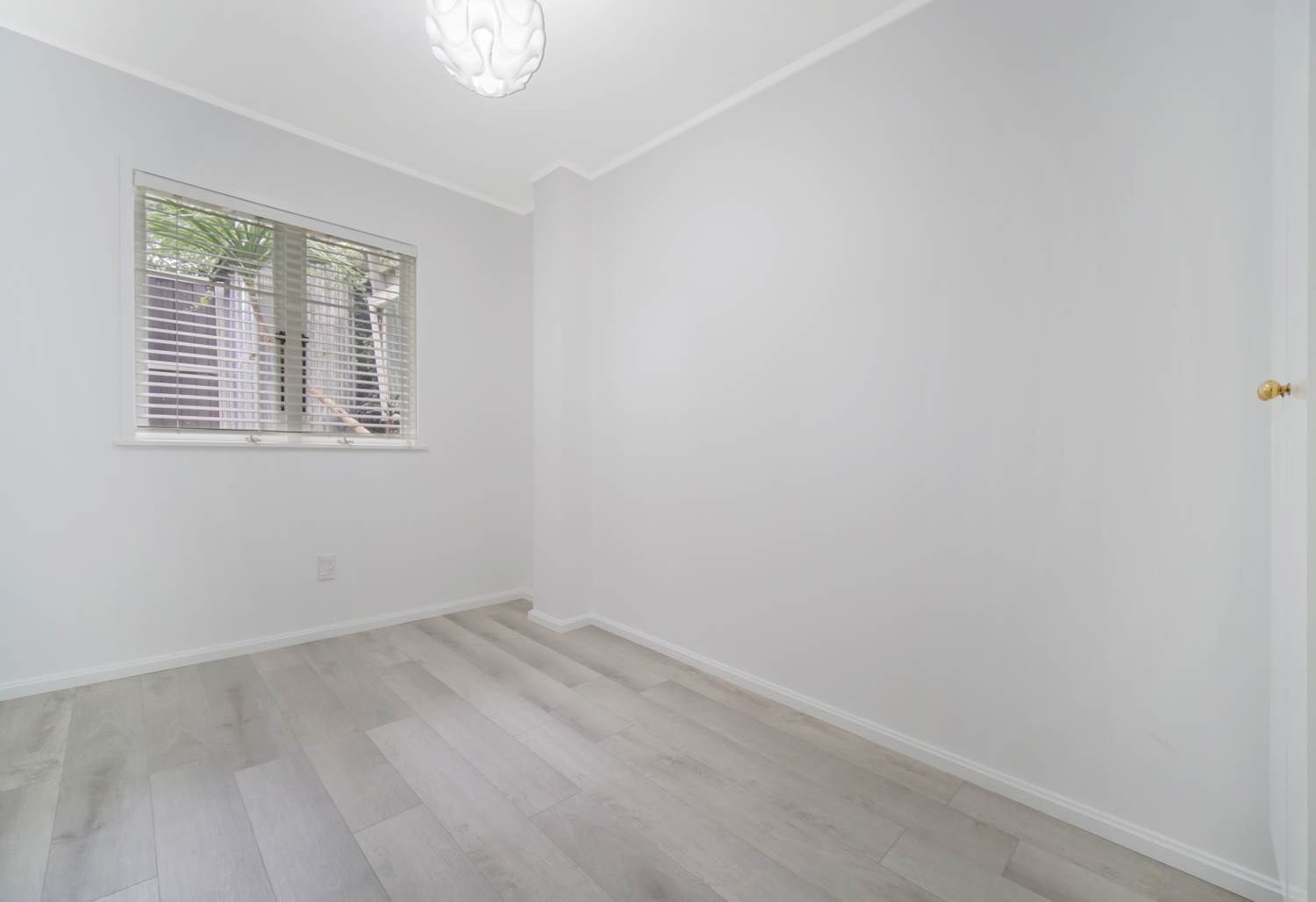 Property Pictures