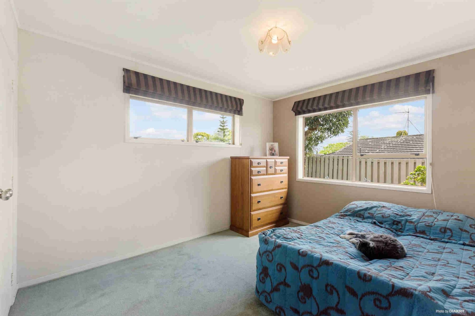 Property Pictures