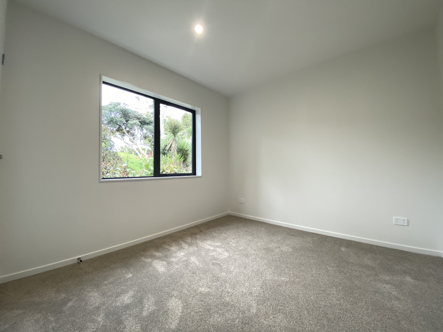 Property Pictures