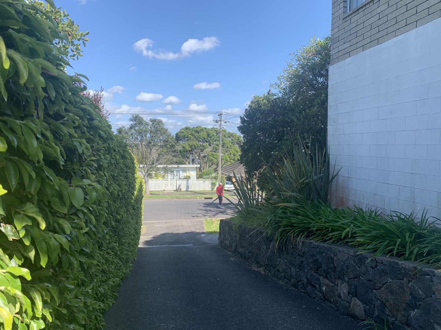Property Pictures